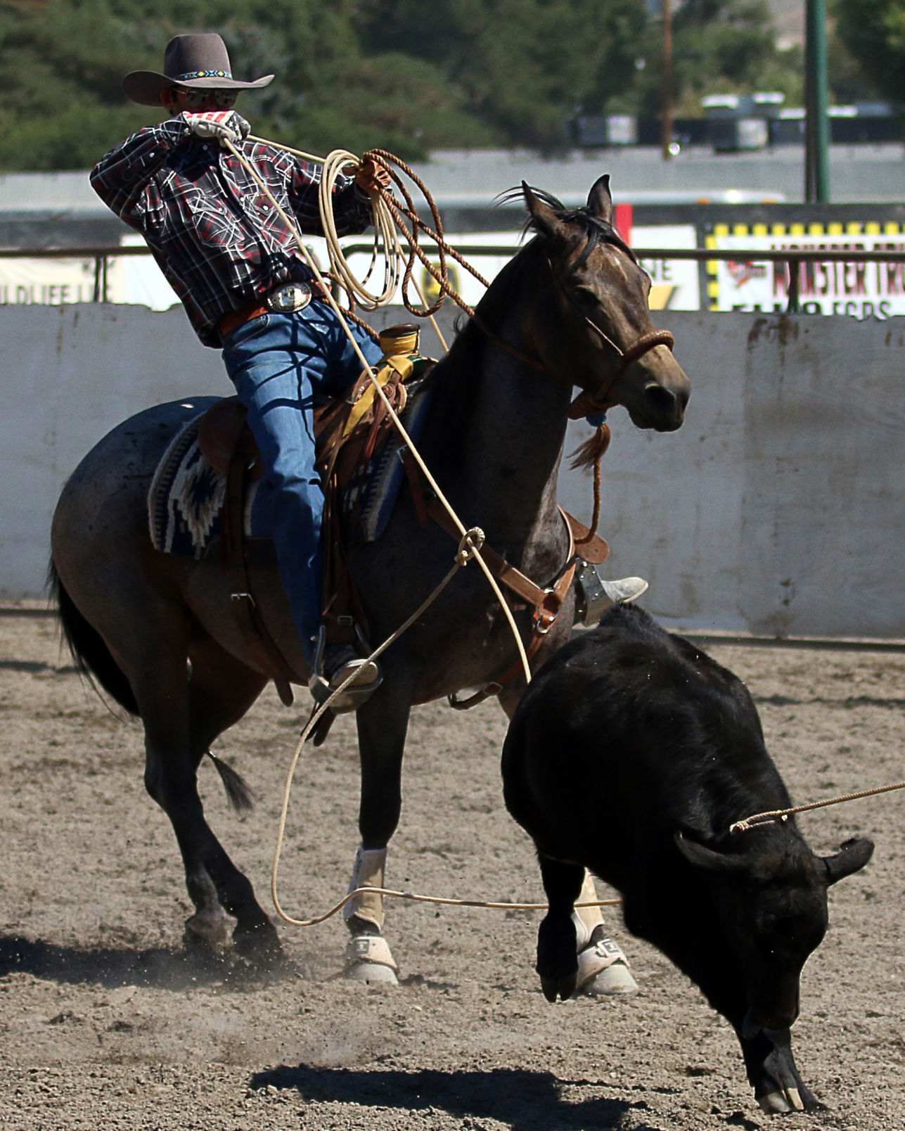 2018 Elko County Fair Open Branding Finals (31).JPG